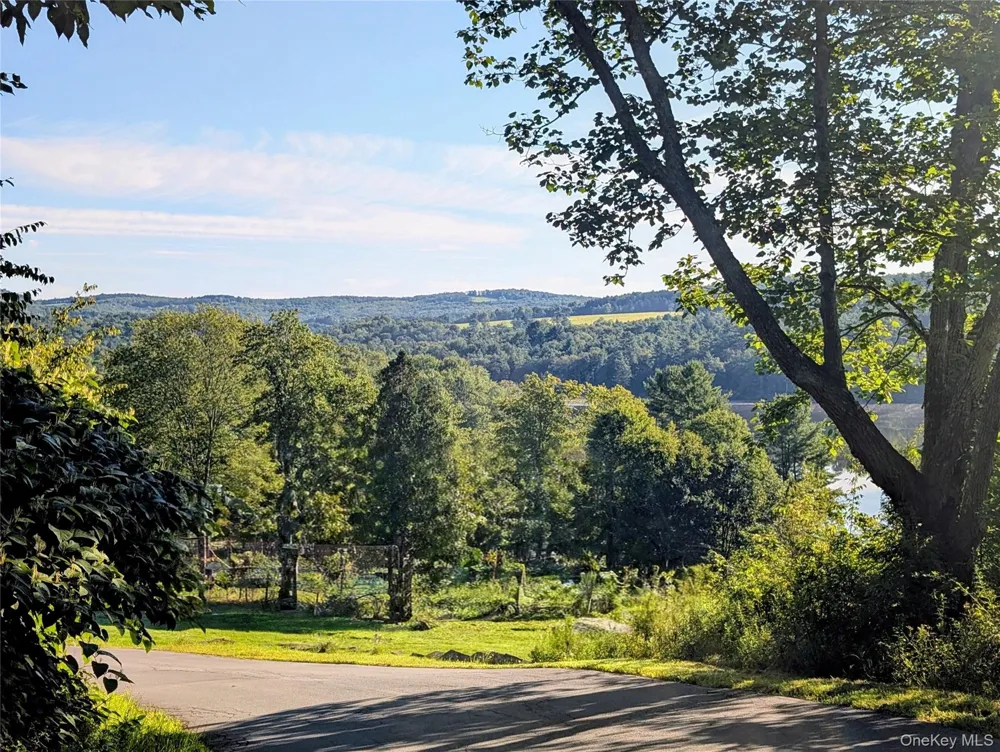 Hurd Road Swan Lake, NY 12720