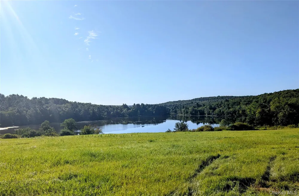Hurd Road Swan Lake, NY 12720
