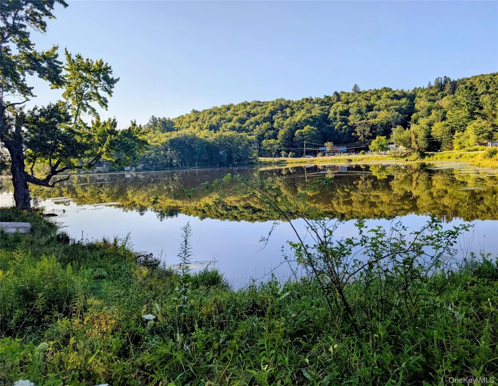 Hurd Road Swan Lake, NY 12720
