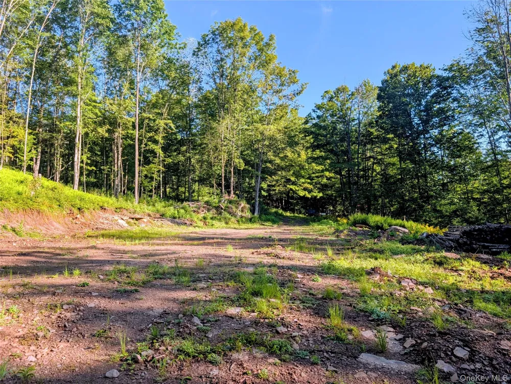 Hurd Road Swan Lake, NY 12720