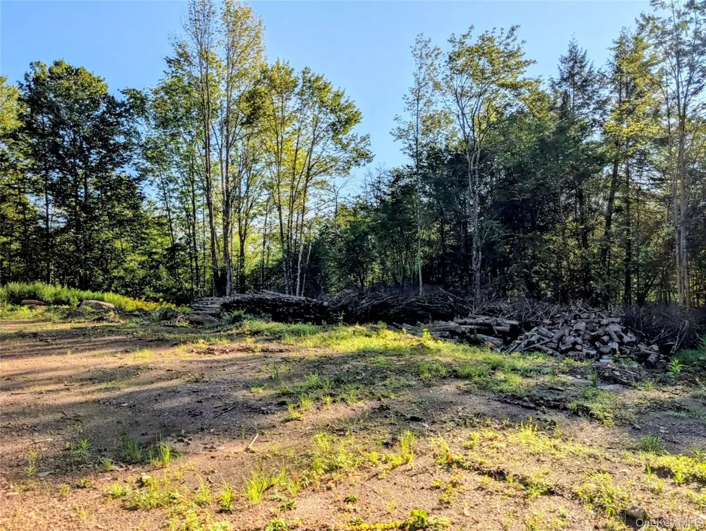 Hurd Road Swan Lake, NY 12720