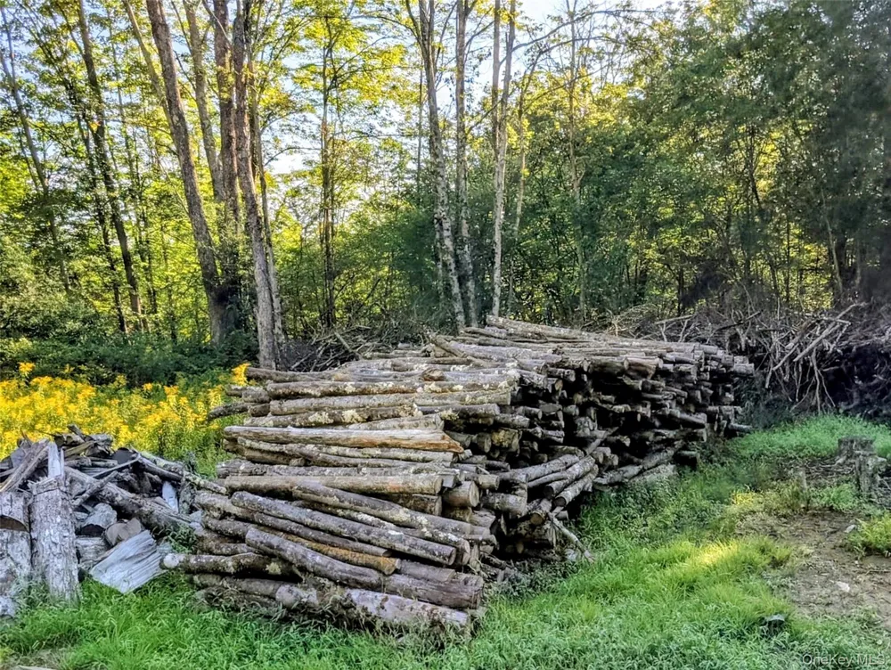 Hurd Road Swan Lake, NY 12720
