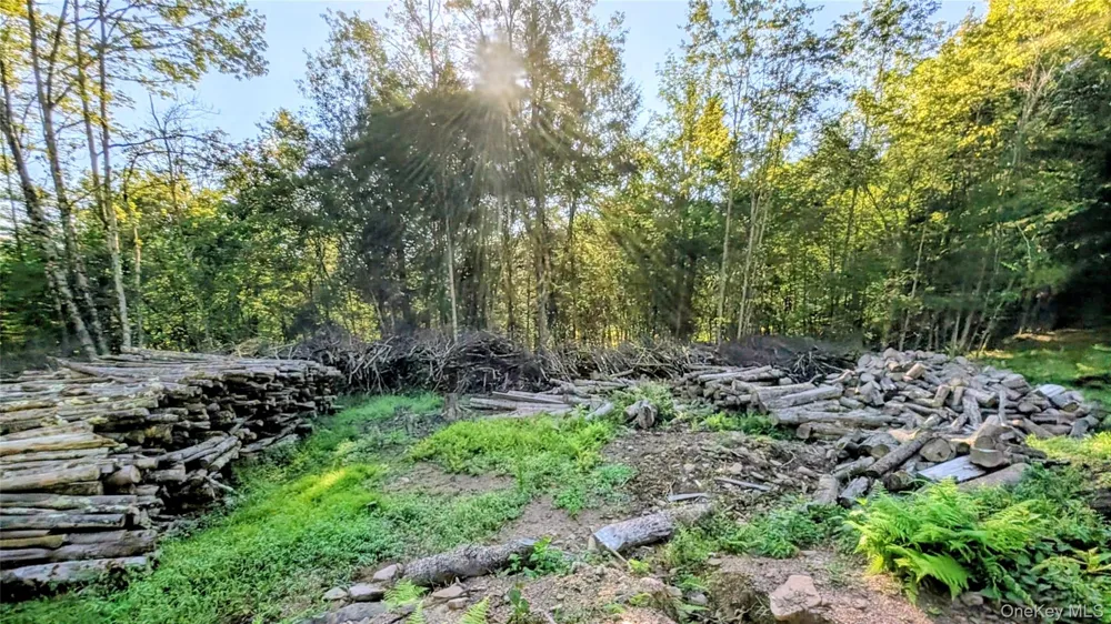 Hurd Road Swan Lake, NY 12720
