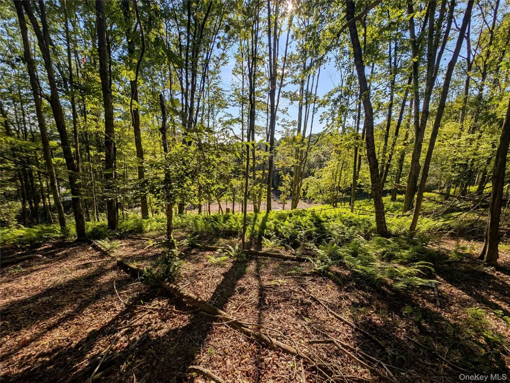 Hurd Road Swan Lake, NY 12720