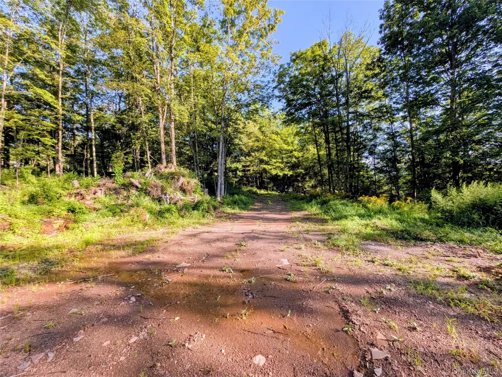 Hurd Road Swan Lake, NY 12720