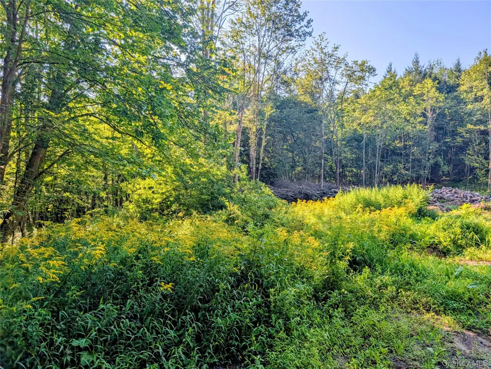 Hurd Road Swan Lake, NY 12720