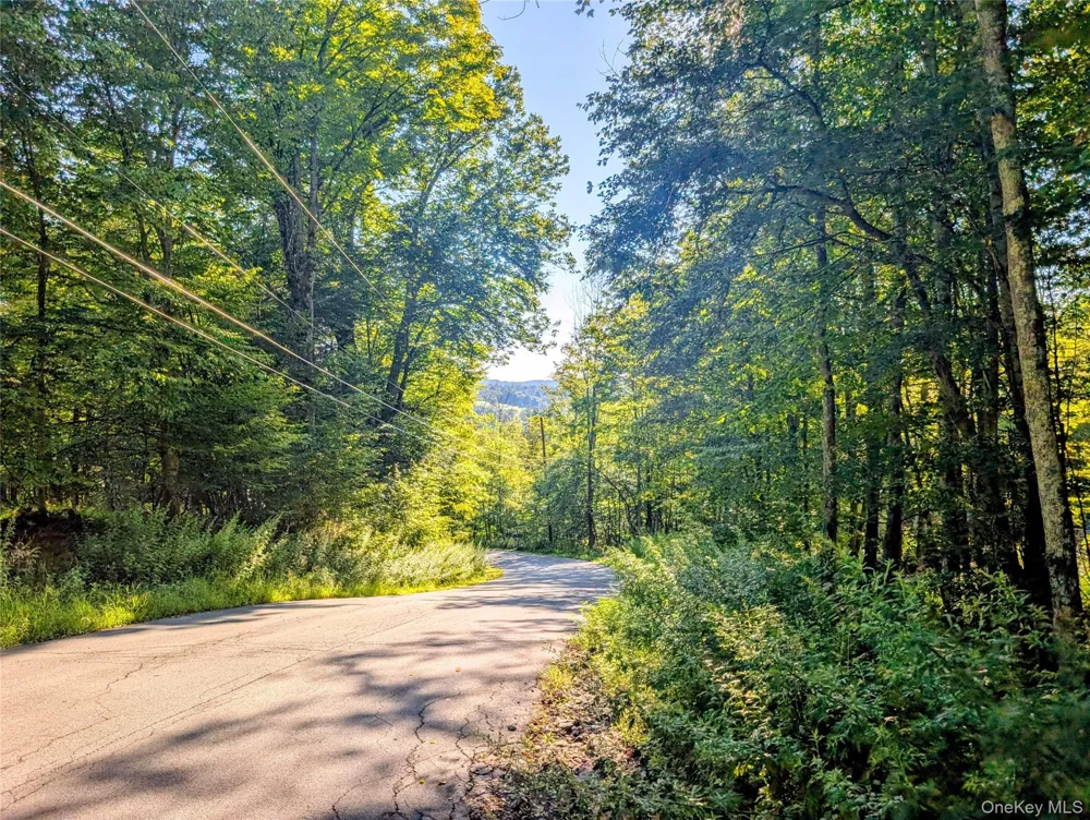 Hurd Road Swan Lake, NY 12720