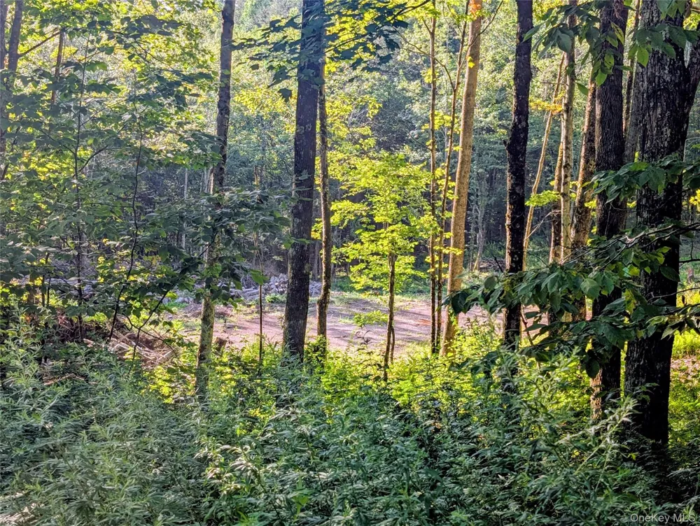 Hurd Road Swan Lake, NY 12720