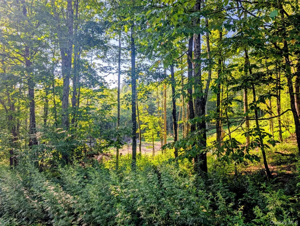 Hurd Road Swan Lake, NY 12720