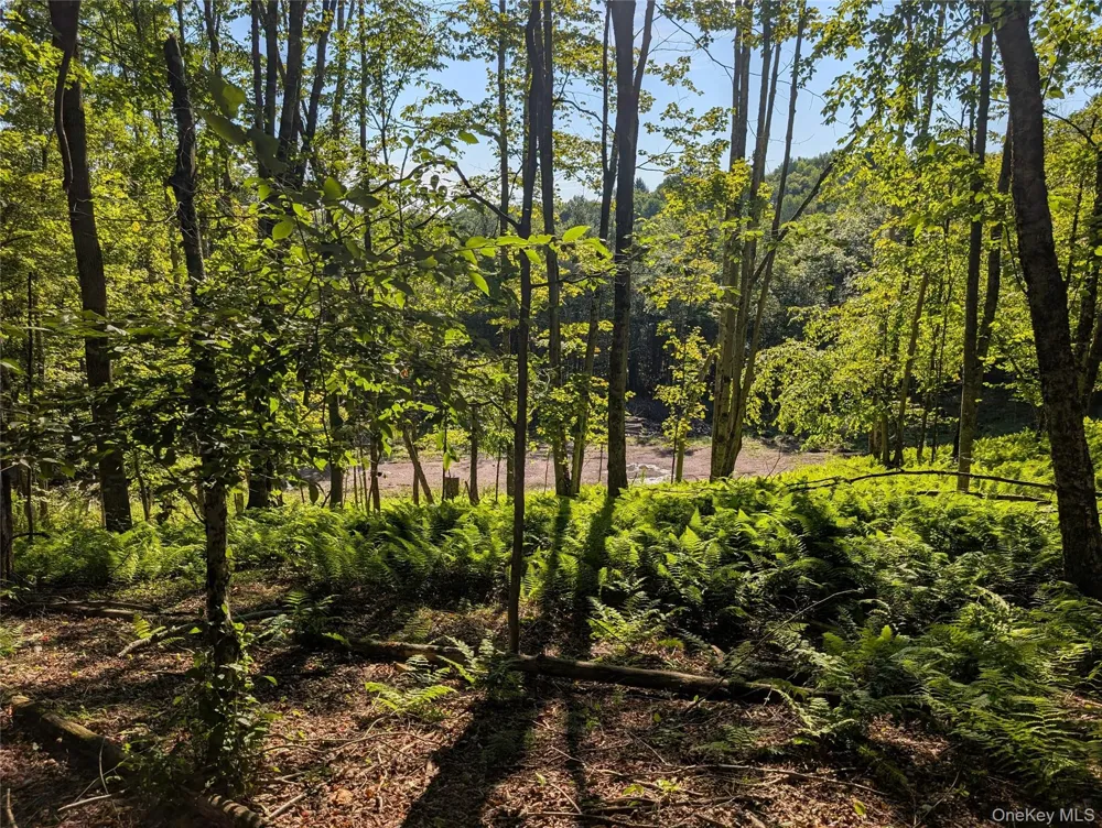 Hurd Road Swan Lake, NY 12720