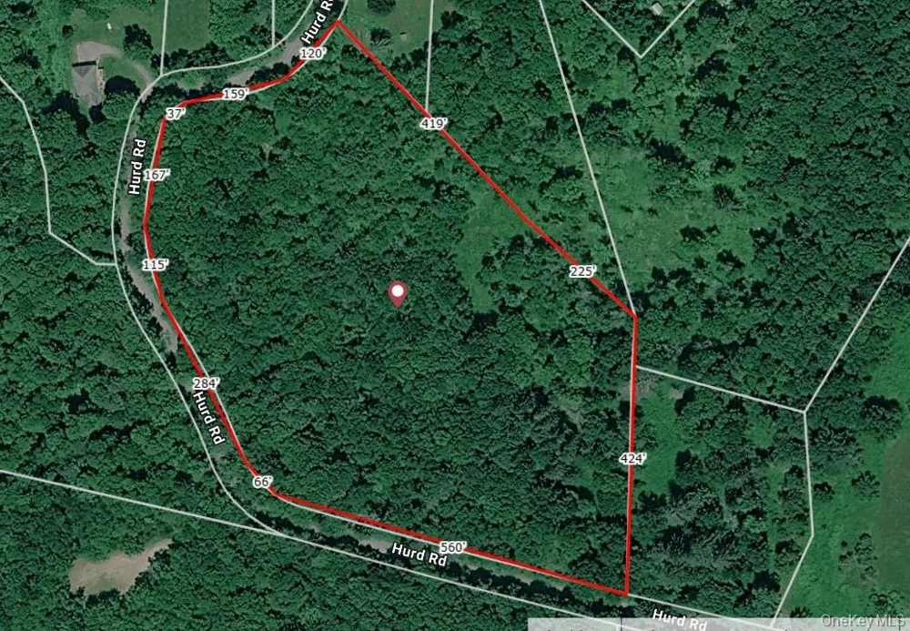 Hurd Road Swan Lake, NY 12720