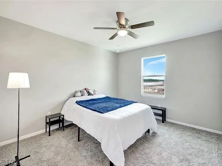 43837 Cattleman Drive Babcock Ranch, FL 33982