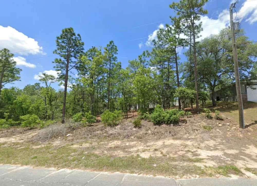 3065 W SHARPES DRIVE Citrus Springs, FL 34433