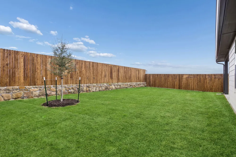324 Yellowstar Lane Lavon, TX 75166