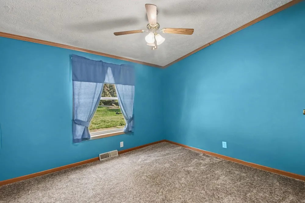 546 Wall Street Easton Township, MI 48846