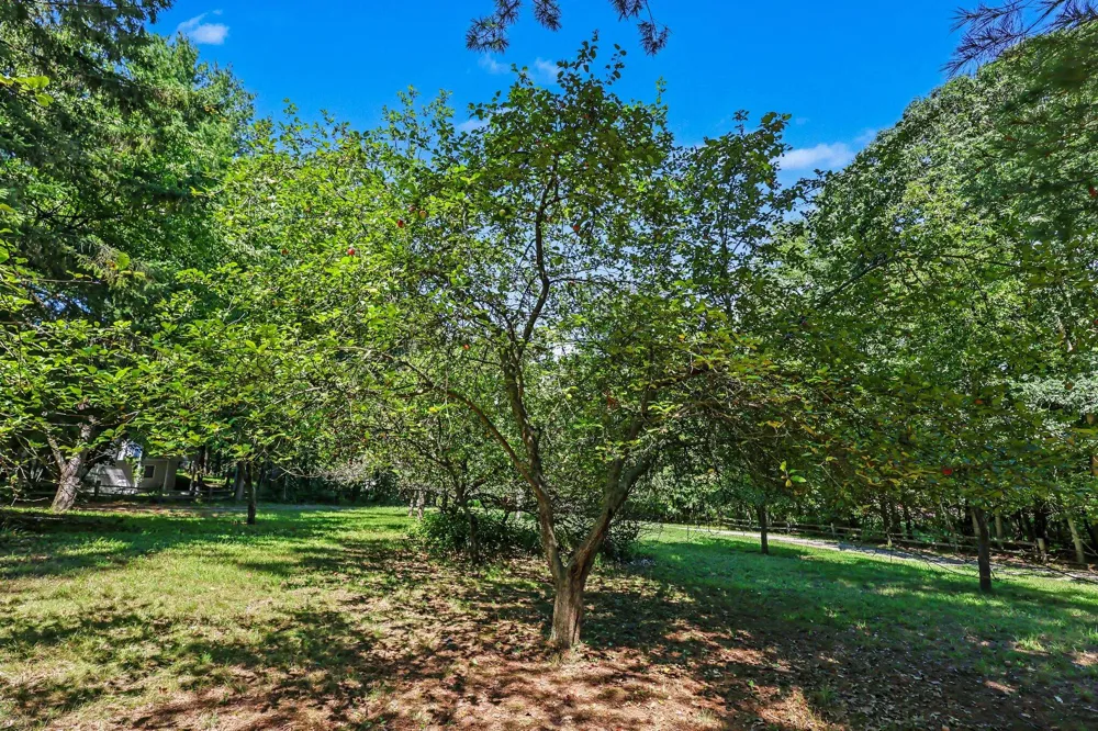 17182 Arthur Court Spring Lake Township, MI 49456