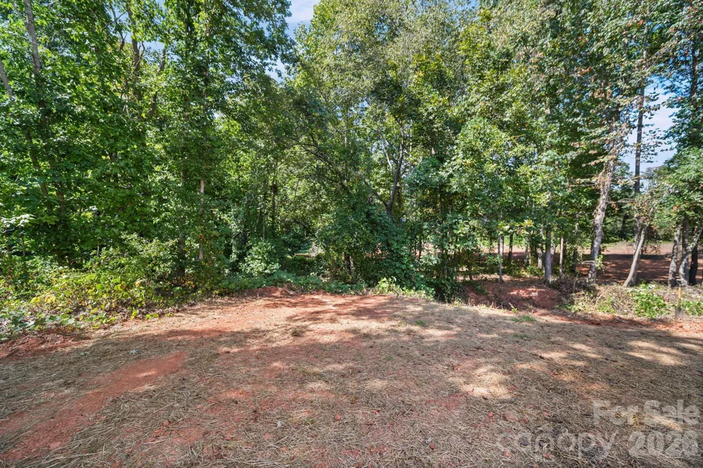 1074 Lyndsey Brook Court Lincolnton, NC 28092