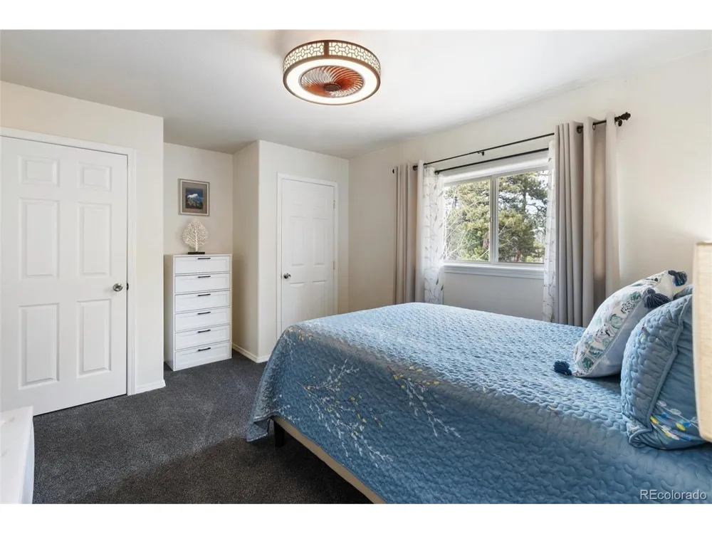 742 Westwood Trce Woodland Park, CO 80863