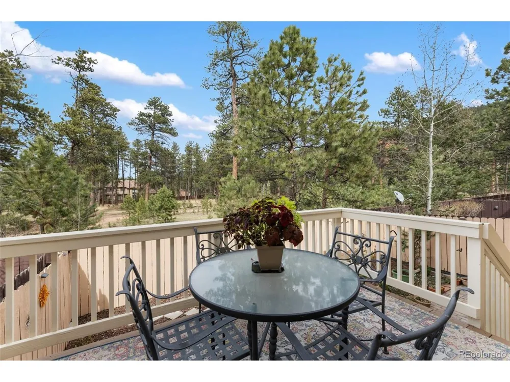 742 Westwood Trce Woodland Park, CO 80863