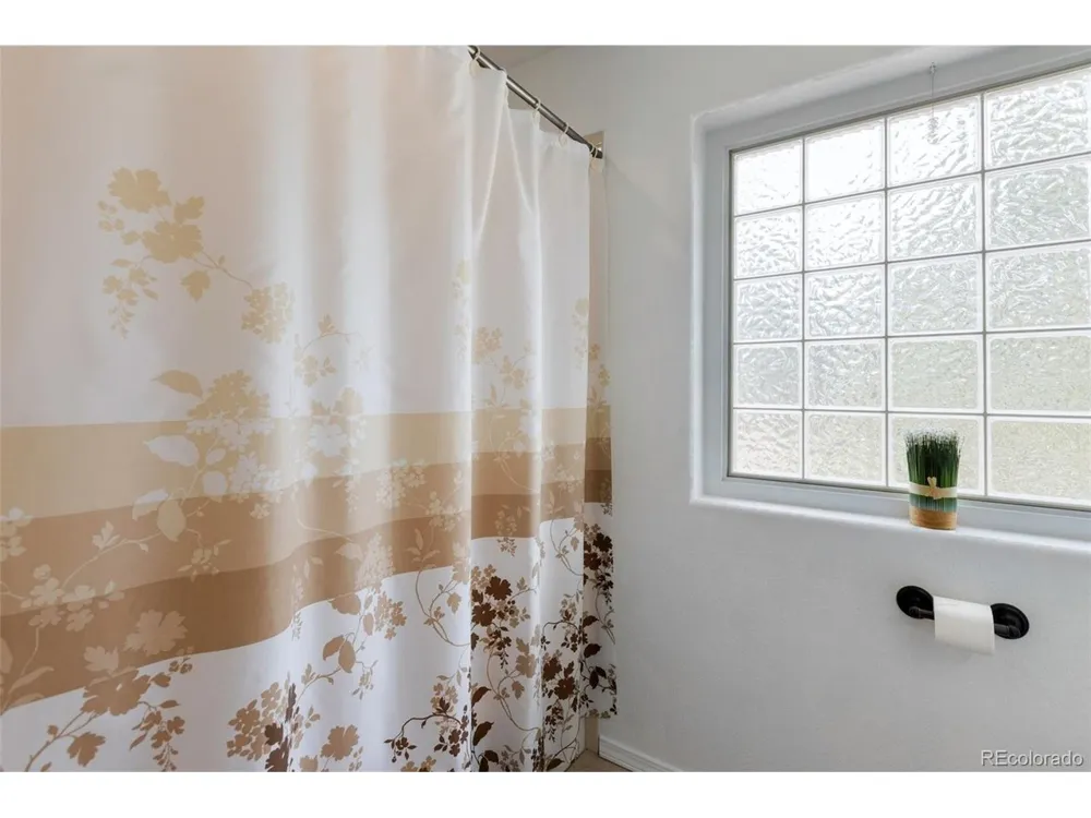 742 Westwood Trce Woodland Park, CO 80863