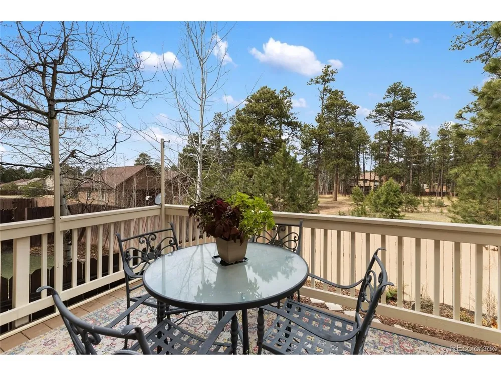 742 Westwood Trce Woodland Park, CO 80863