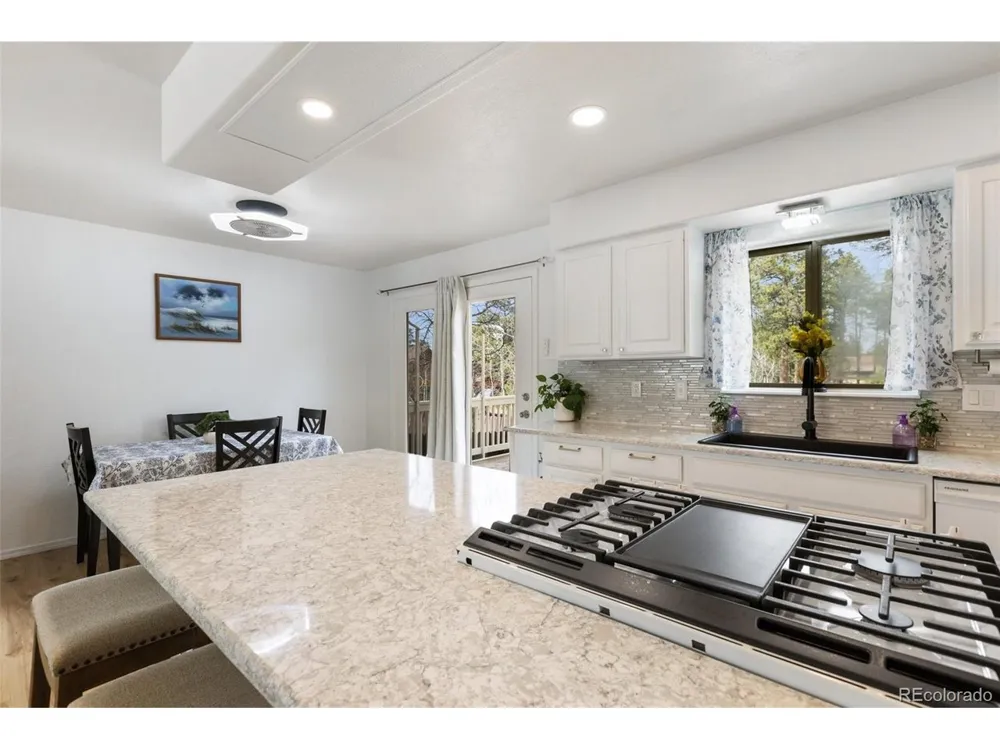 742 Westwood Trce Woodland Park, CO 80863