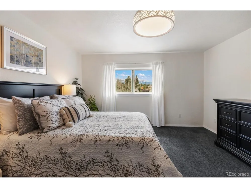 742 Westwood Trce Woodland Park, CO 80863