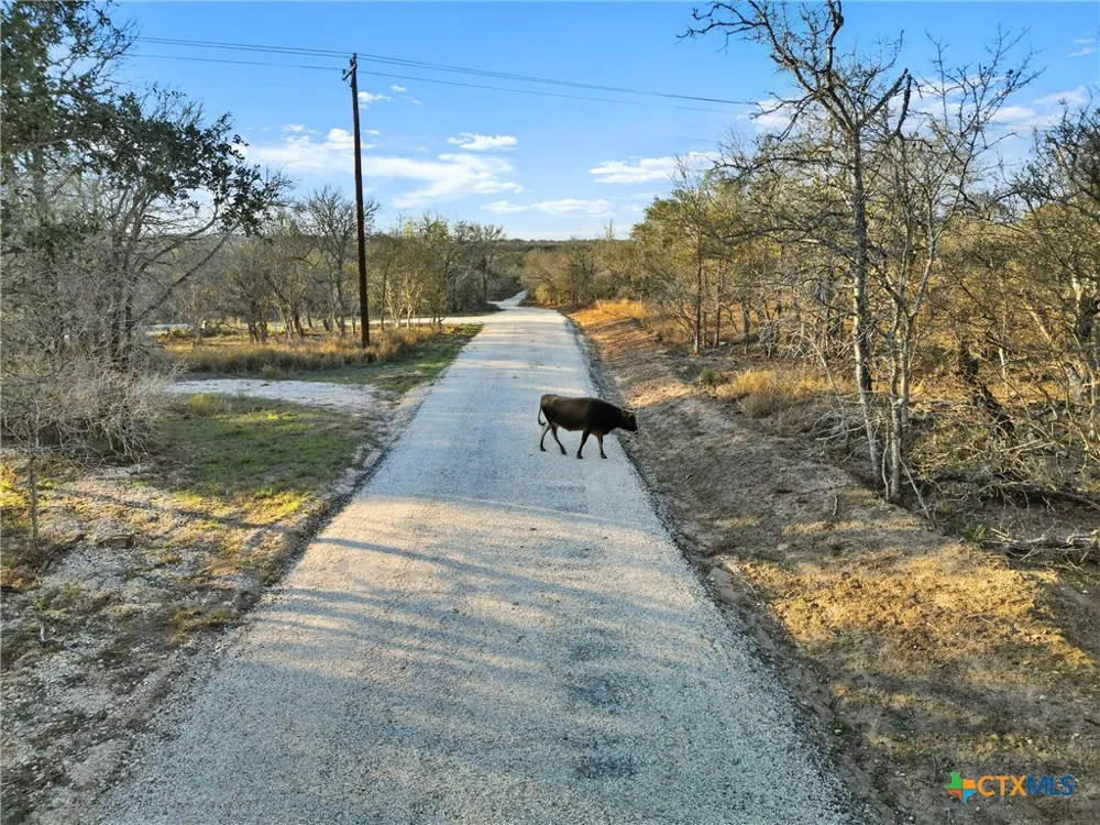 4 US Hwy 90 Alt Seguin, TX 78155