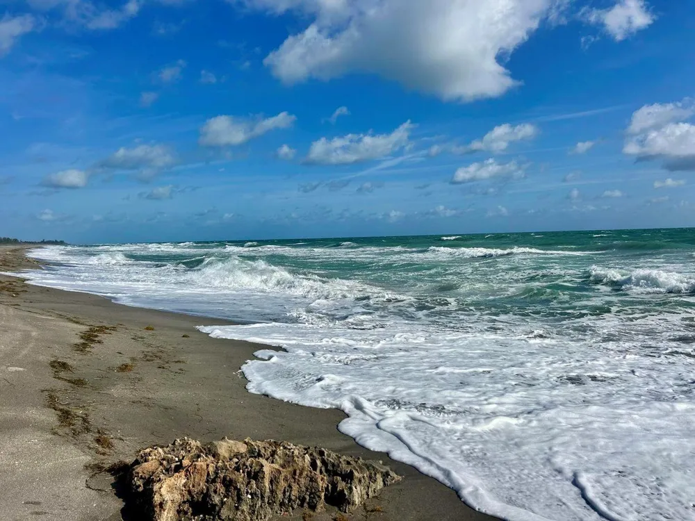 331 TEQUESTA DRIVE #216 Tequesta, FL 33469