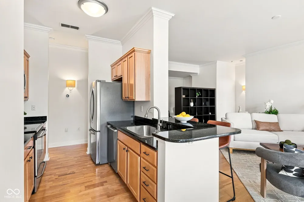 450 E Ohio Street #114 Indianapolis, IN 46204