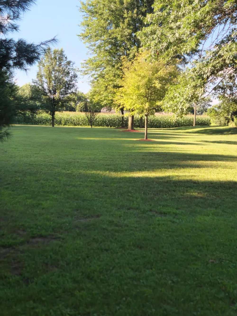 1344 Yensch Road Dundee, MI 48131