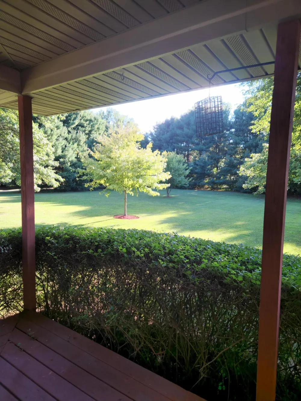 1344 Yensch Road Dundee, MI 48131