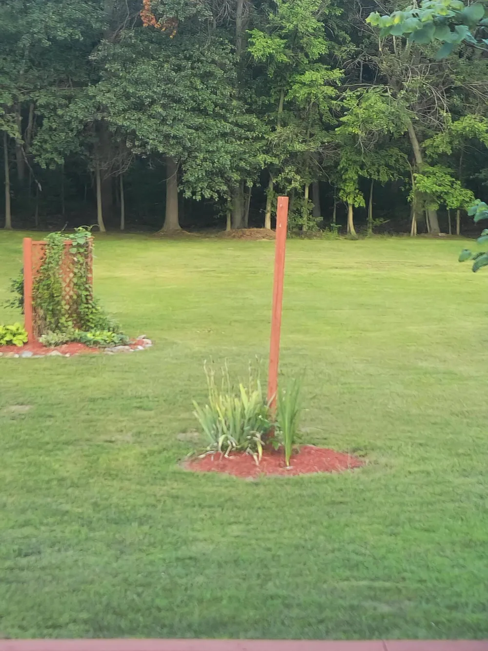 1344 Yensch Road Dundee, MI 48131
