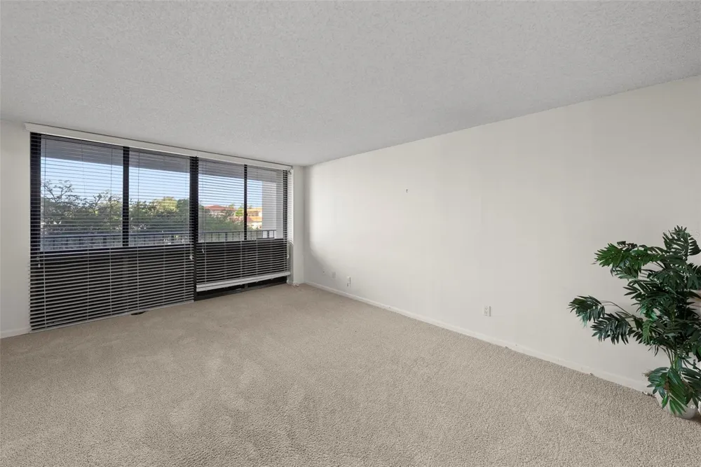 3301 BAYSHORE BOULEVARD #505C Tampa, FL 33629