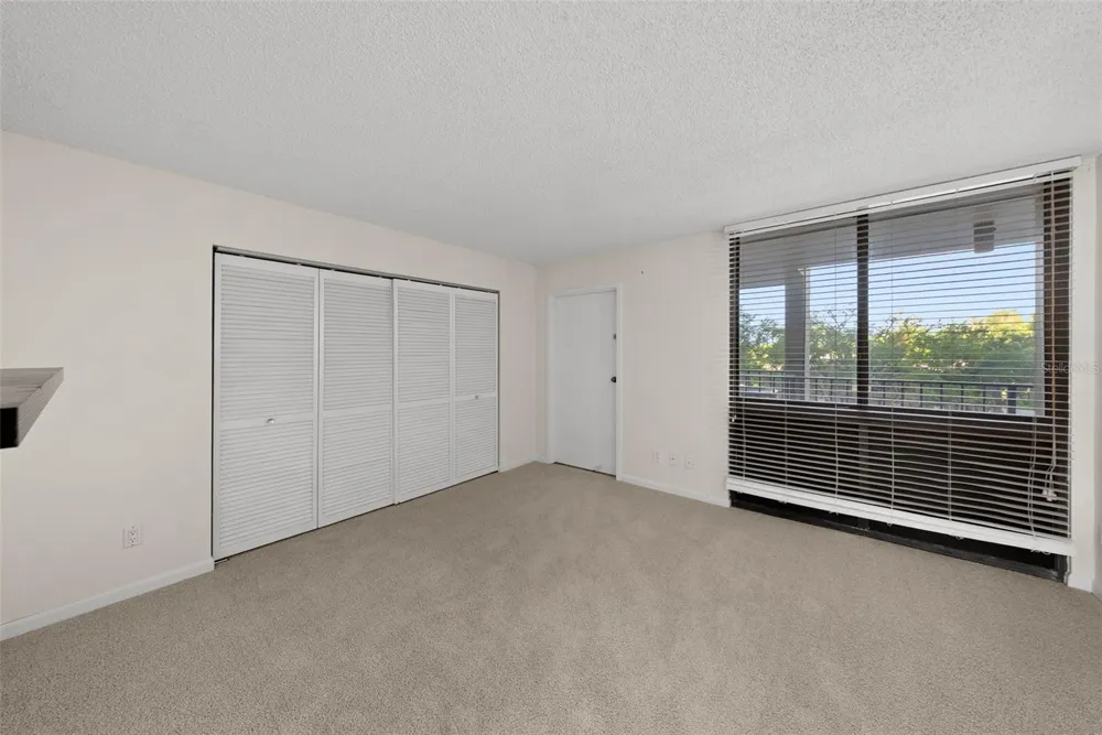 3301 BAYSHORE BOULEVARD #505C Tampa, FL 33629