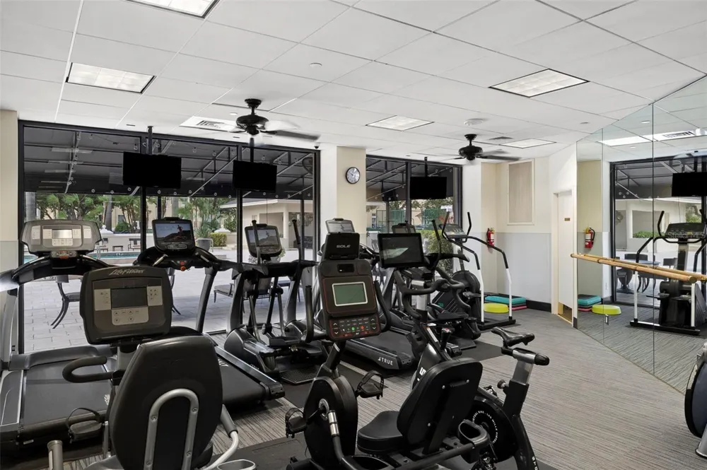 3301 BAYSHORE BOULEVARD #505C Tampa, FL 33629