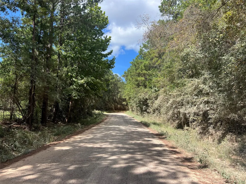 Tom Cummings Road Livingston, TX 77351