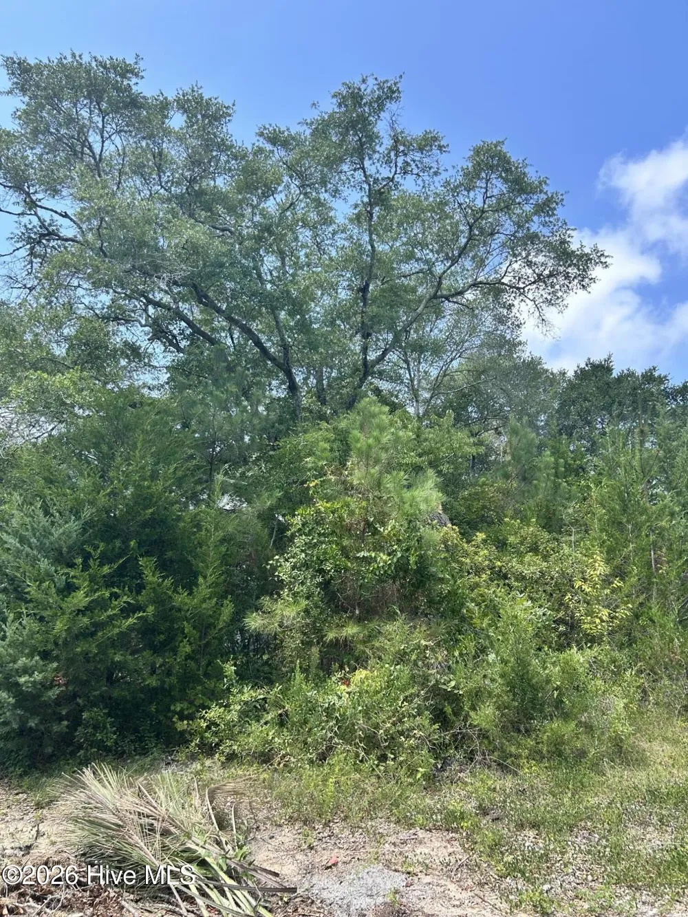 105 SE 8th Street Oak Island, NC 28465