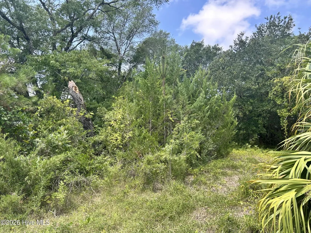 105 SE 8th Street Oak Island, NC 28465