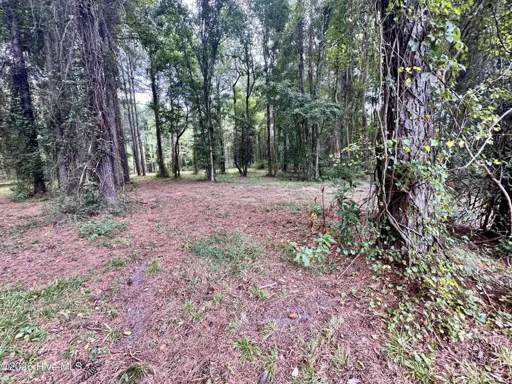 36 E Waterway Drive Belhaven, NC 27810
