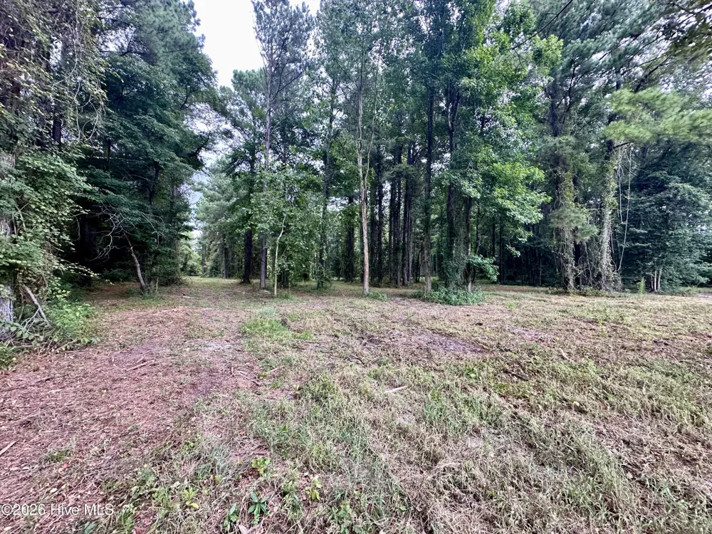 36 E Waterway Drive Belhaven, NC 27810