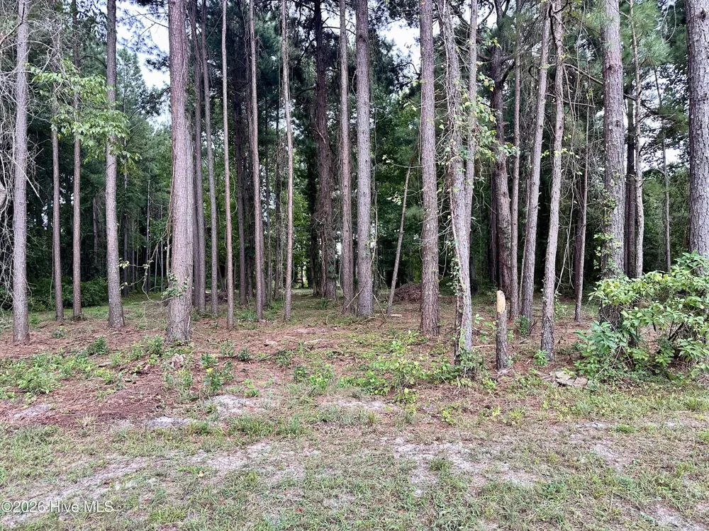 36 E Waterway Drive Belhaven, NC 27810