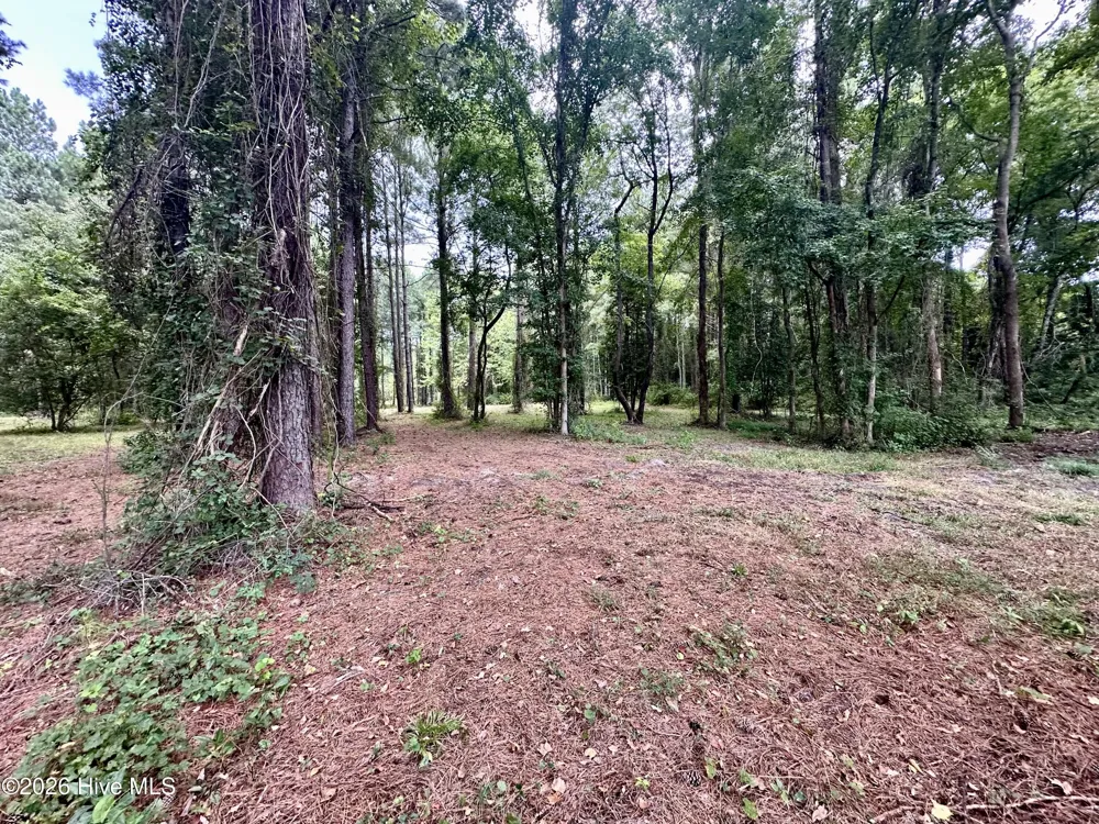 36 E Waterway Drive Belhaven, NC 27810