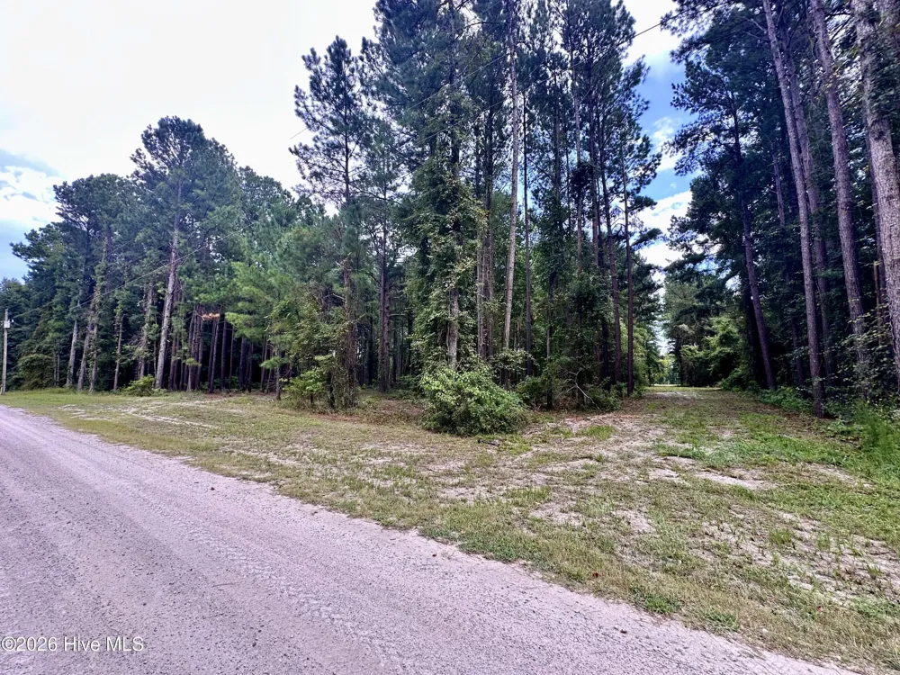 36 E Waterway Drive Belhaven, NC 27810