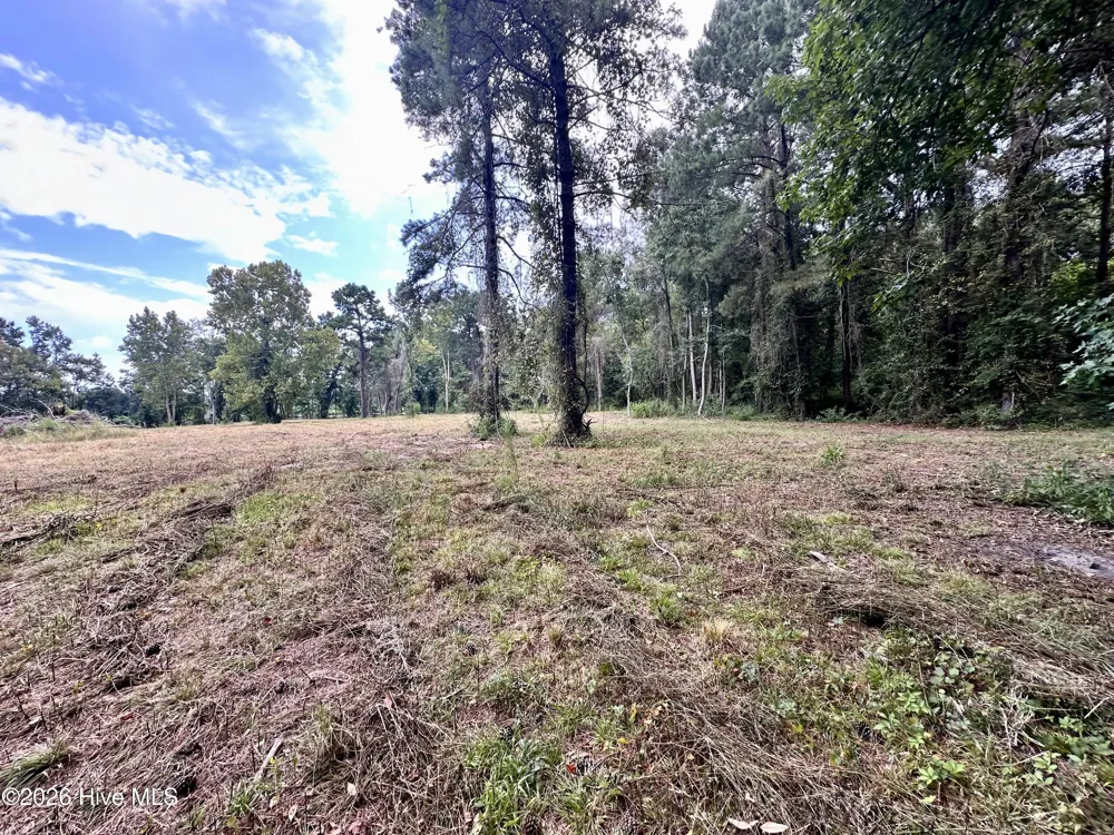 36 E Waterway Drive Belhaven, NC 27810