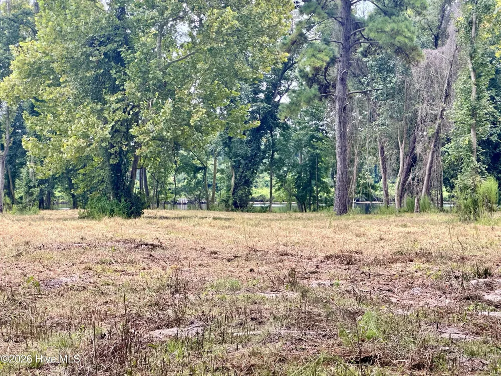 36 E Waterway Drive Belhaven, NC 27810