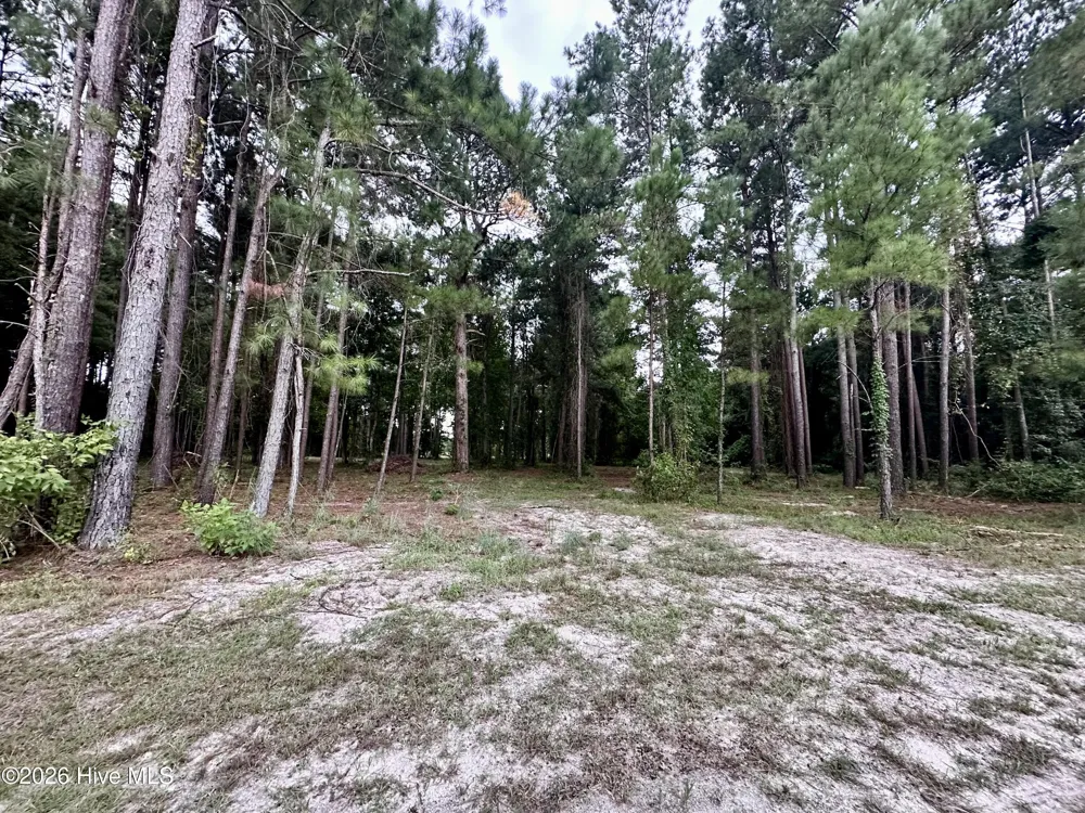 36 E Waterway Drive Belhaven, NC 27810