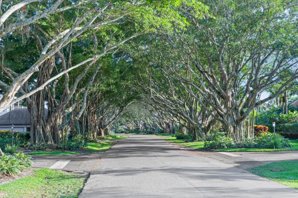 2785 Polo Island Drive #J301 Penthouse Wellington, FL 33414