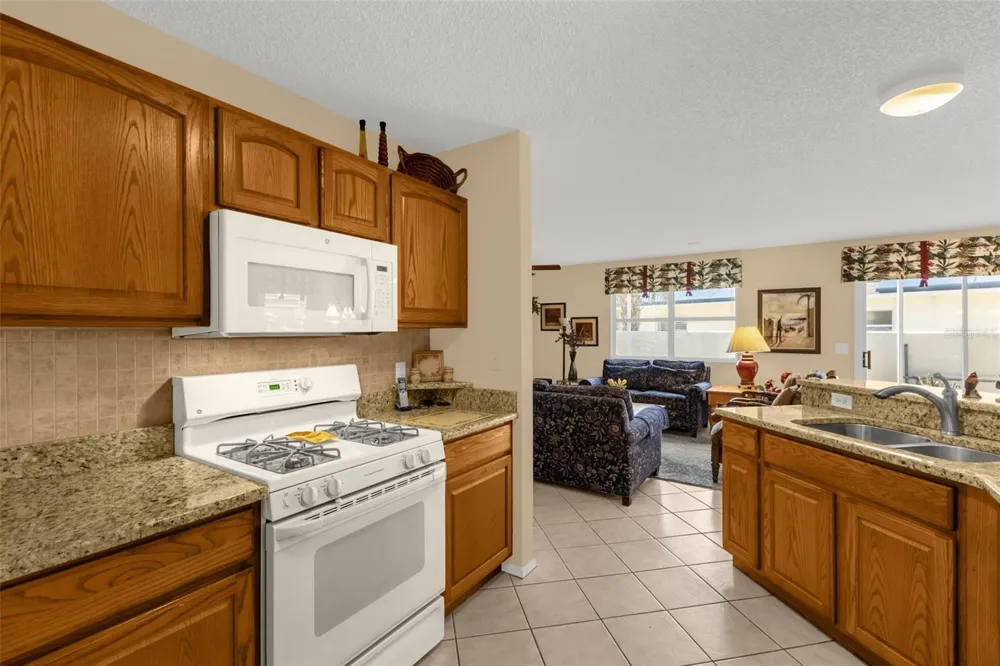 2801 BARBOZA DRIVE The Villages, FL 32162