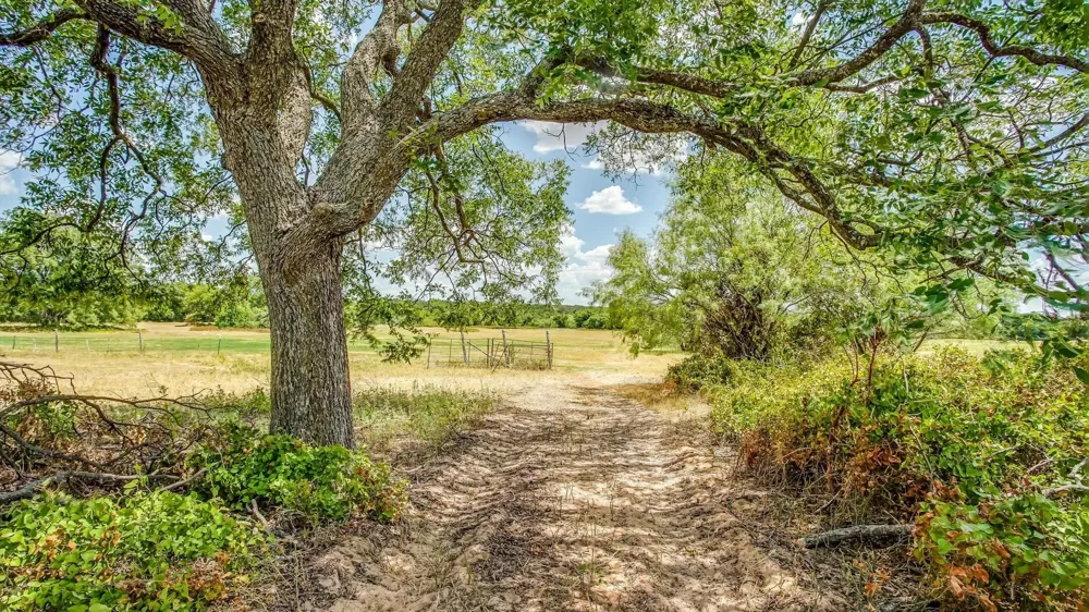 2446 Fm 205 Stephenville, TX 76401